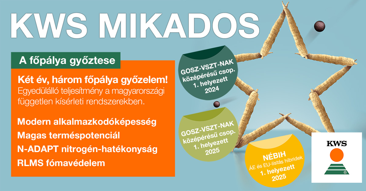 Bizonyít a mérlegen!