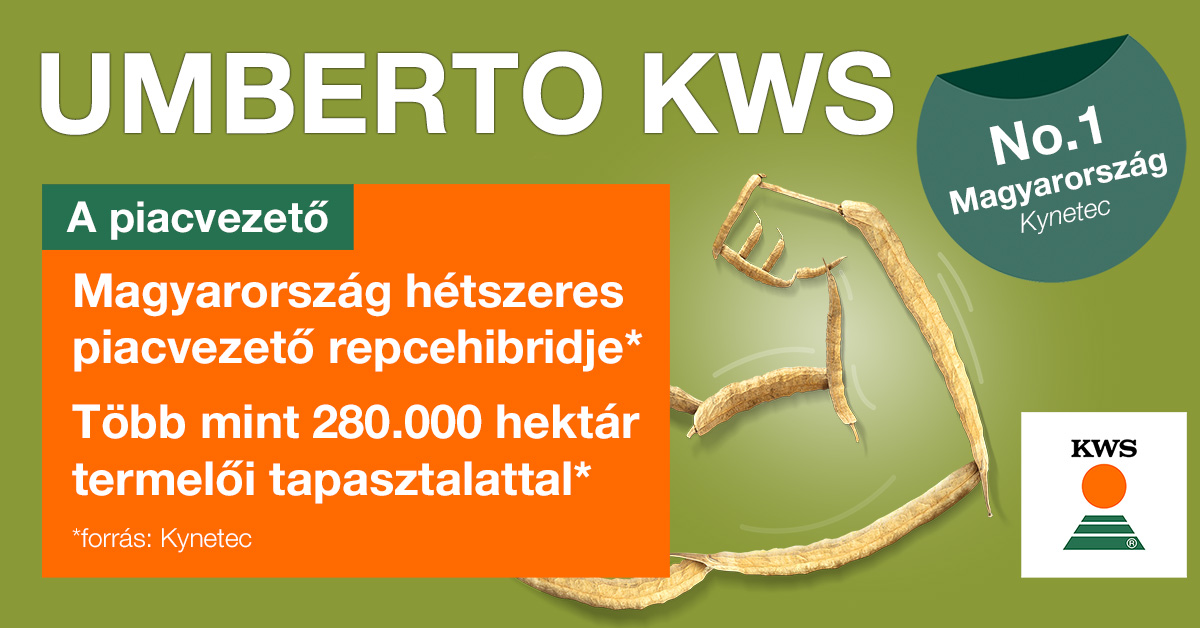Bizonyít a mérlegen!