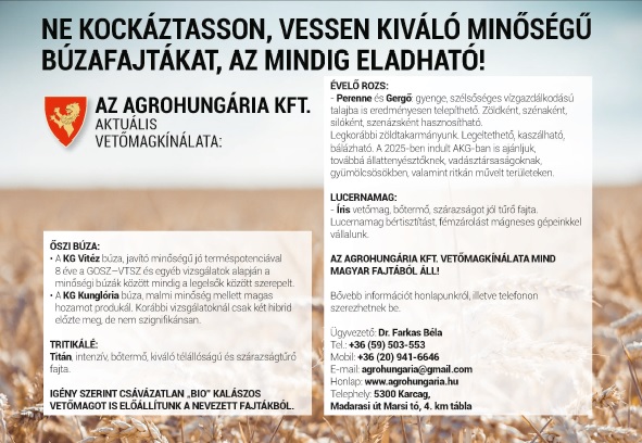 „Az üres kalász fenn tartja fejét, a teli fejet hajt Isten előtt”