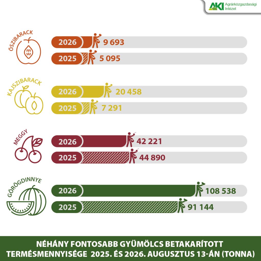 Közel háromszor annyi kajszi termett idén, mint tavaly