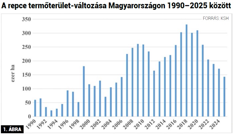 Az őszi káposztarepce talajelőkészítésének és vetésének gyakorlati szempontjai