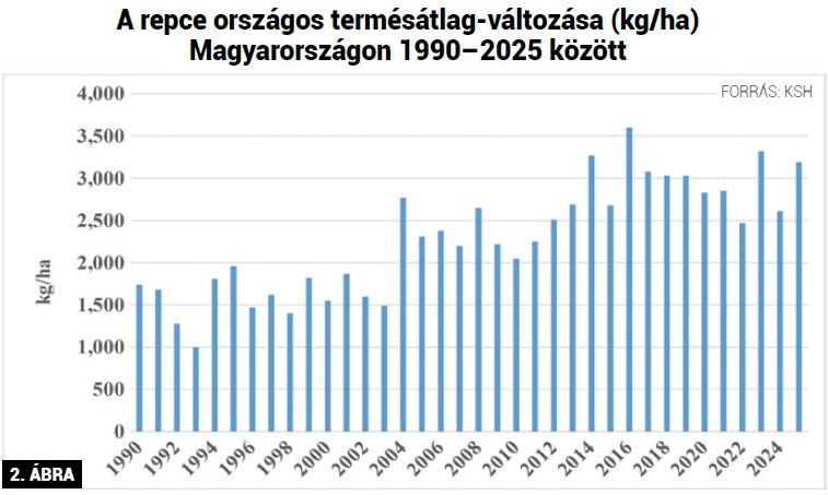 Az őszi káposztarepce talajelőkészítésének és vetésének gyakorlati szempontjai