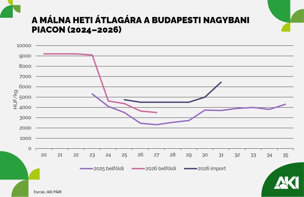 Egy év alatt 57 százalékkal emelkedett a málna termelői ára