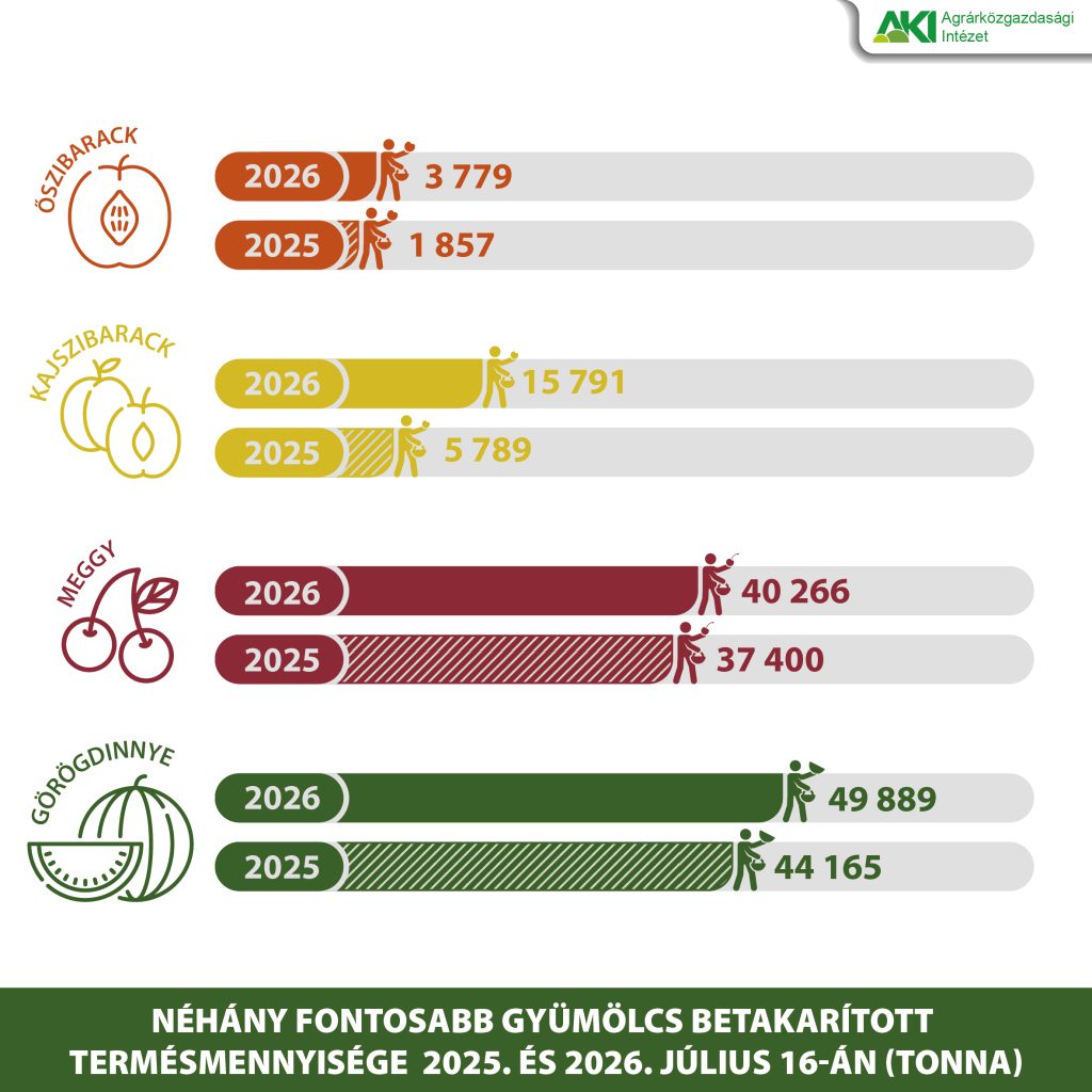 Számottevően növekedett a kajszi- és őszibaracktermés az idén