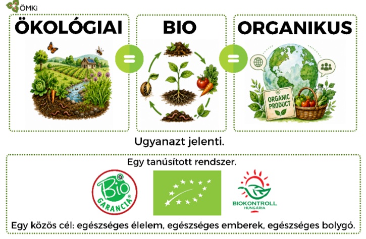 Friss adatok a hazai biotermék piacról: egyre több bioélelmiszer kerül a kosarunkba, de lépést tud-e tartani a hazai kínálat?