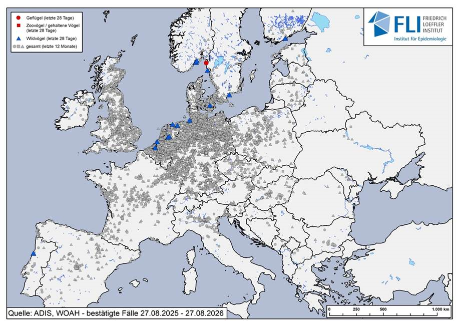 Európai madárinfluenza helyzet