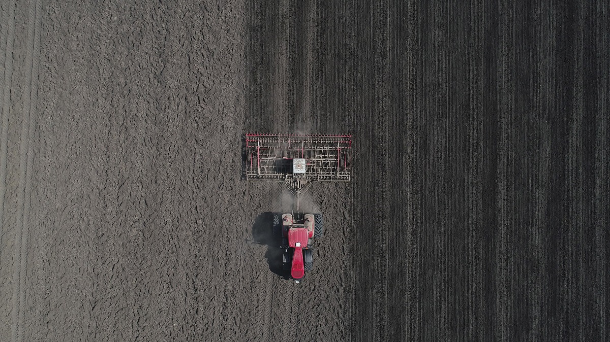 Az őszi búza aktuális tápanyag-utánpótlási lehetőségei