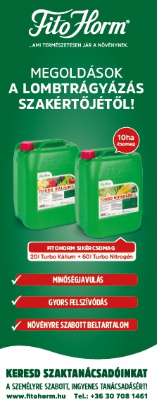 &Aacute;talakul&oacute; erősorrend a napraforg&oacute; gombabetegs&eacute;gein&eacute;l &ndash; Megfelelő technol&oacute;gia &eacute;s k&eacute;sz&iacute;tm&eacute;ny, valamint az időz&iacute;t&eacute;s fontoss&aacute;ga