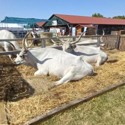Farmer-Expo 2024