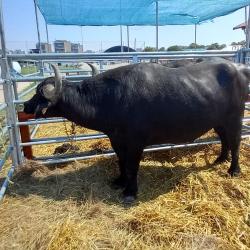 Farmer-Expo 2024