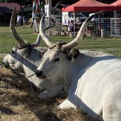 Farmer-Expo 2025