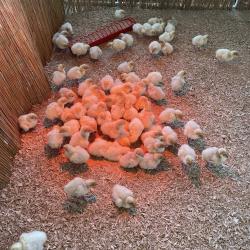 Farmer-Expo 2025