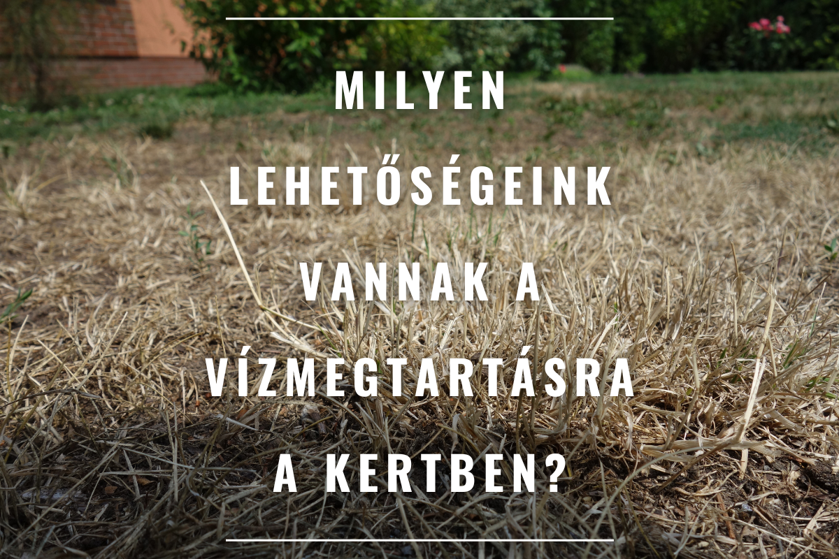 Milyen lehetőségeink vannak a vízmegtartásra a kertben?