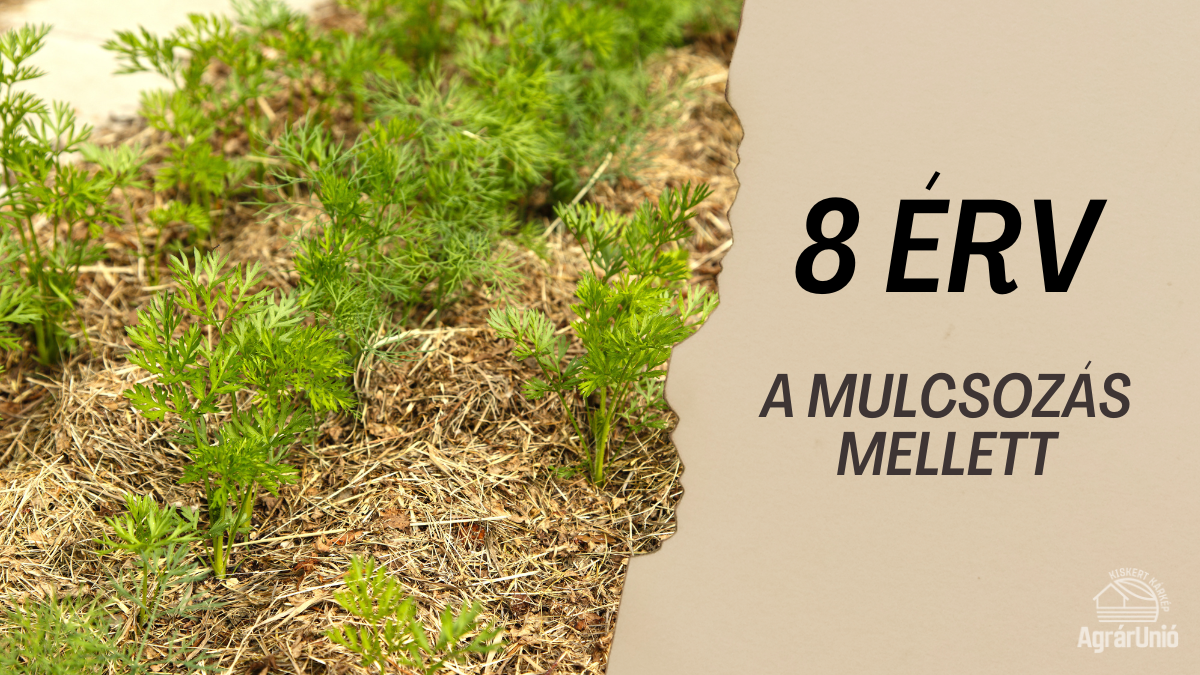 8 ÉRV A MULCSOZÁS MELLETT