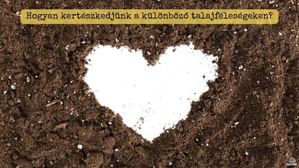 Hogyan kertészkedjünk a különböző talajféleségeken?