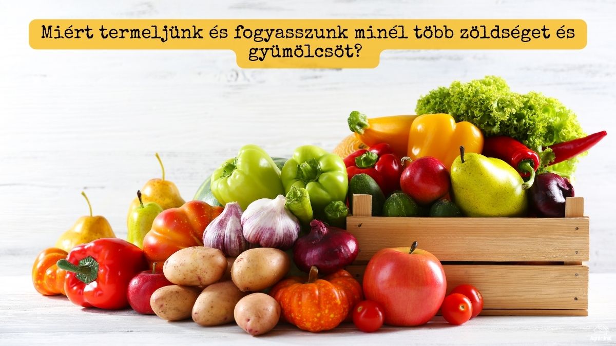 Miért termeljünk és fogyasszunk minél több zöldséget és gyümölcsöt? 