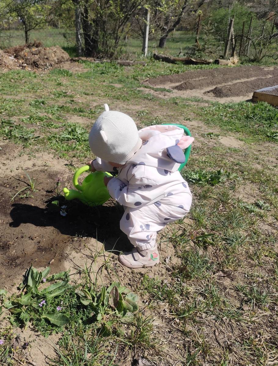 Hogyan k&eacute;sz&uuml;lj&uuml;nk fel az asz&aacute;lyra a kertben? &ndash; &Aacute;tfog&oacute; v&iacute;zmegőrz&eacute;si &uacute;tmutat&oacute;