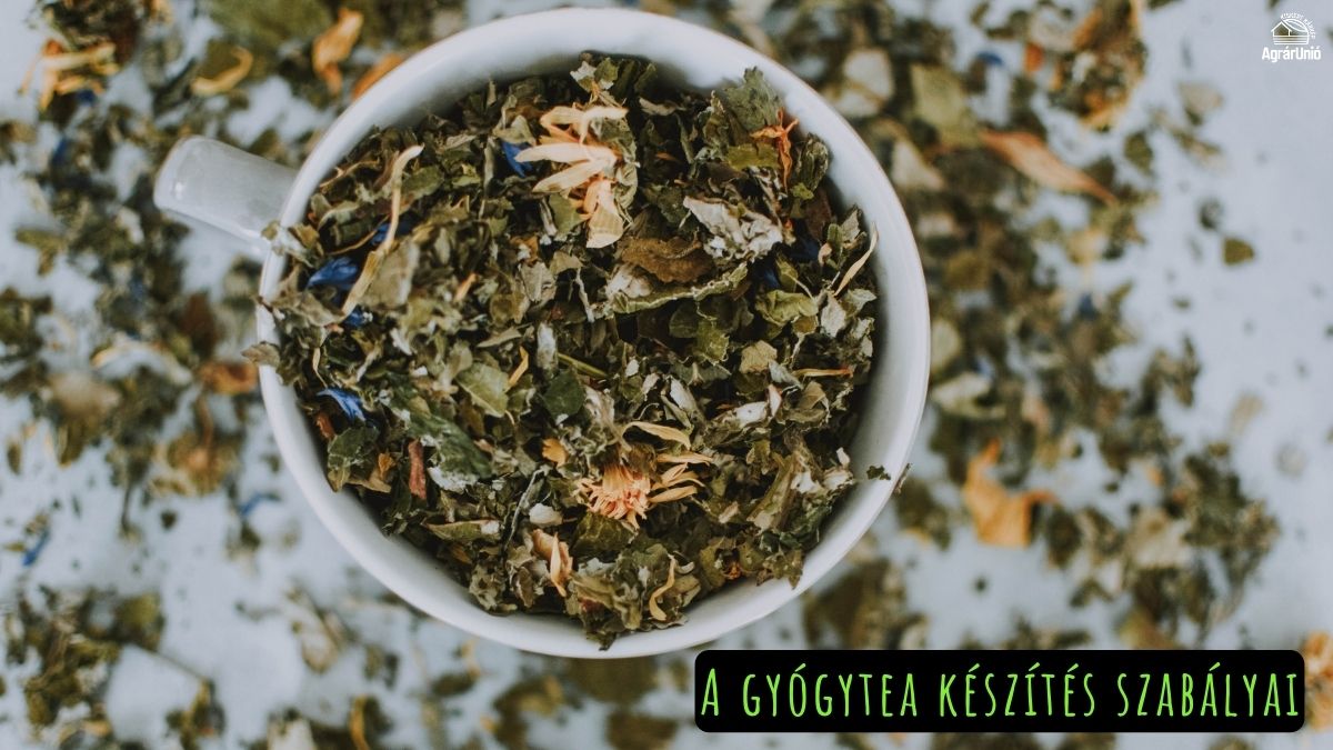 A gyógytea készítés szabályai