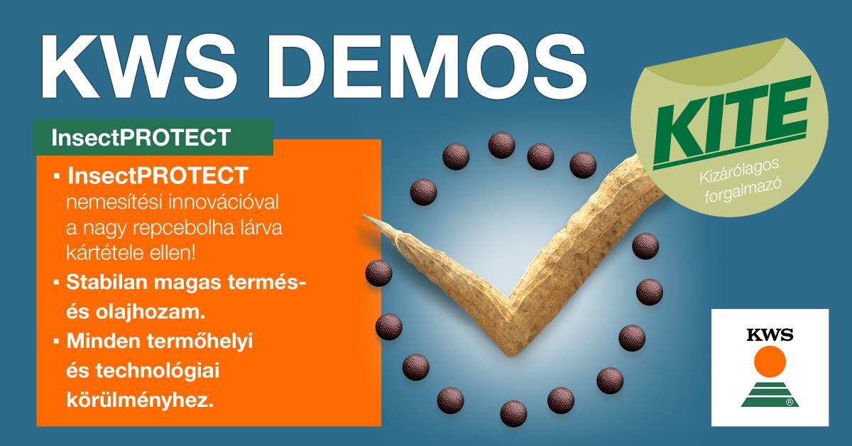 Majd a mázsa megmondja!