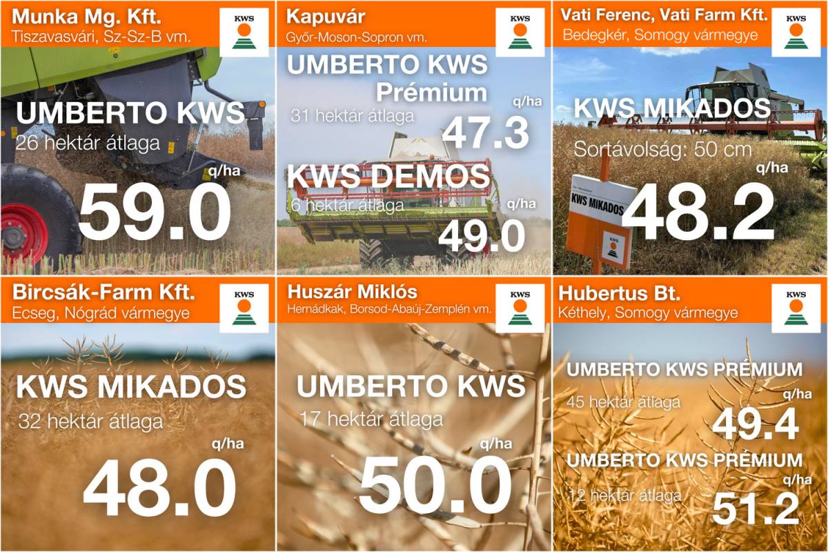 Majd a mázsa megmondja!