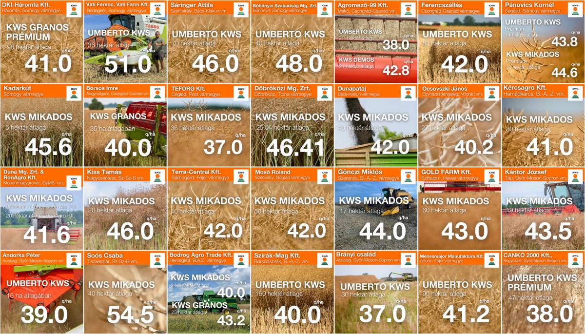 Majd a mázsa megmondja!