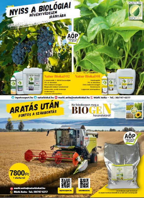 Gombafertőz&eacute;s &eacute;s toxinszennyez&eacute;s a kukoricacs&ouml;v&ouml;n