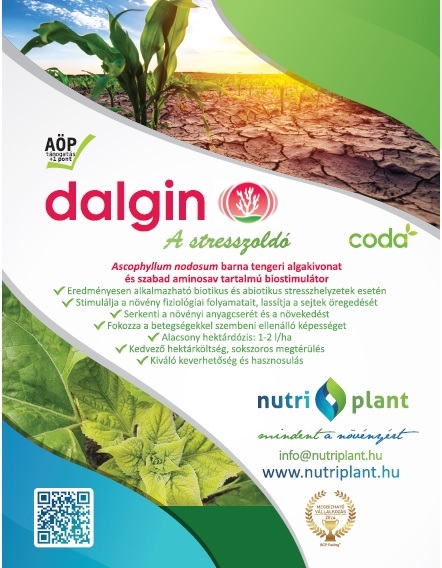 &Aacute;talakul&oacute; erősorrend a napraforg&oacute; gombabetegs&eacute;gein&eacute;l &ndash; Megfelelő technol&oacute;gia &eacute;s k&eacute;sz&iacute;tm&eacute;ny, valamint az időz&iacute;t&eacute;s fontoss&aacute;ga