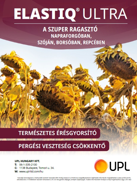 A napraforg&oacute; &aacute;llom&aacute;nysz&aacute;r&iacute;t&aacute;sa